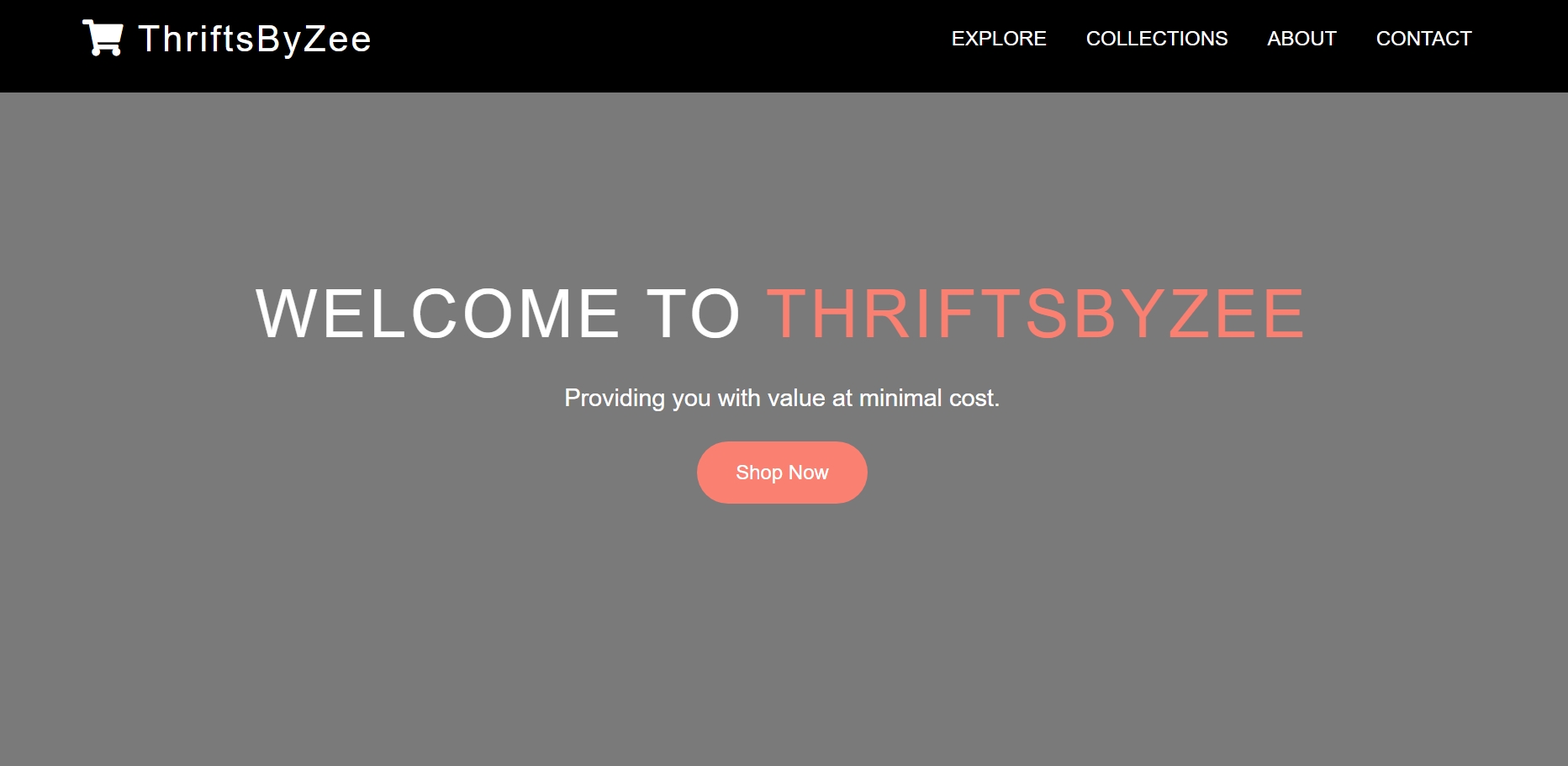 Custom Websites & Landing Pages